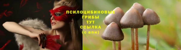 прущая мука Бугульма