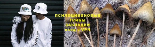 соль курить ск Бронницы