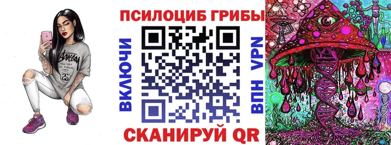 Галлюциногенные грибы Psilocybe  Ахтырский 